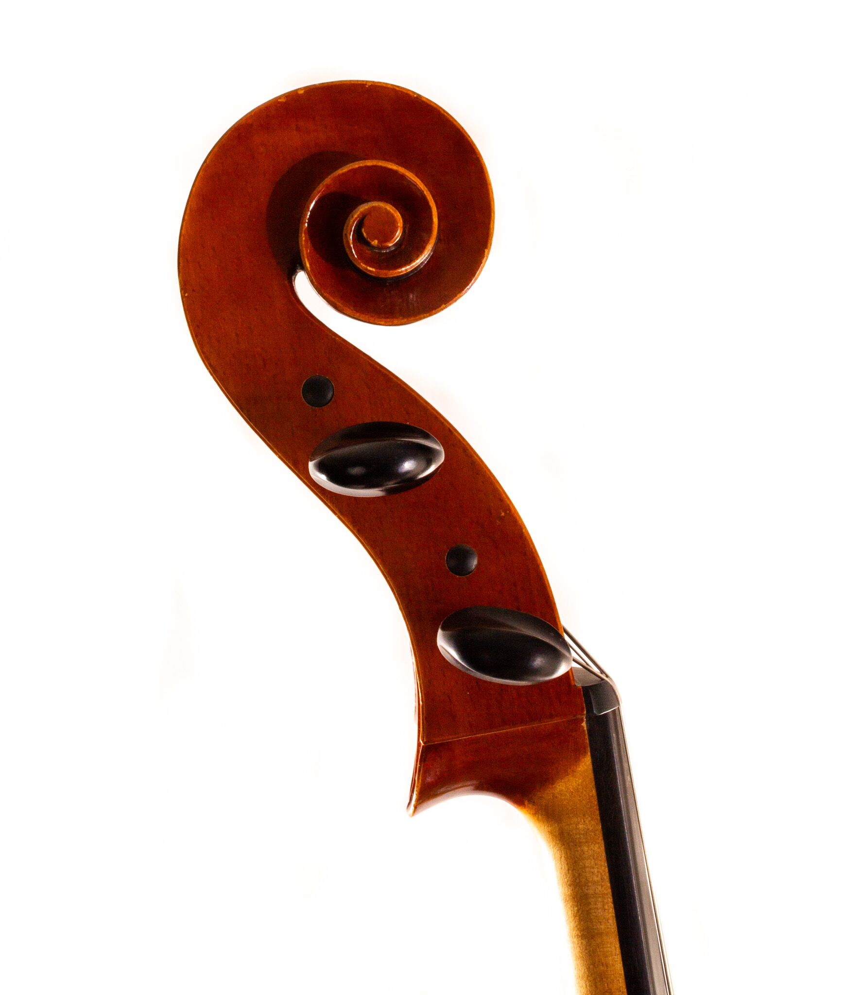 Polstein-White-Cello-2011-6