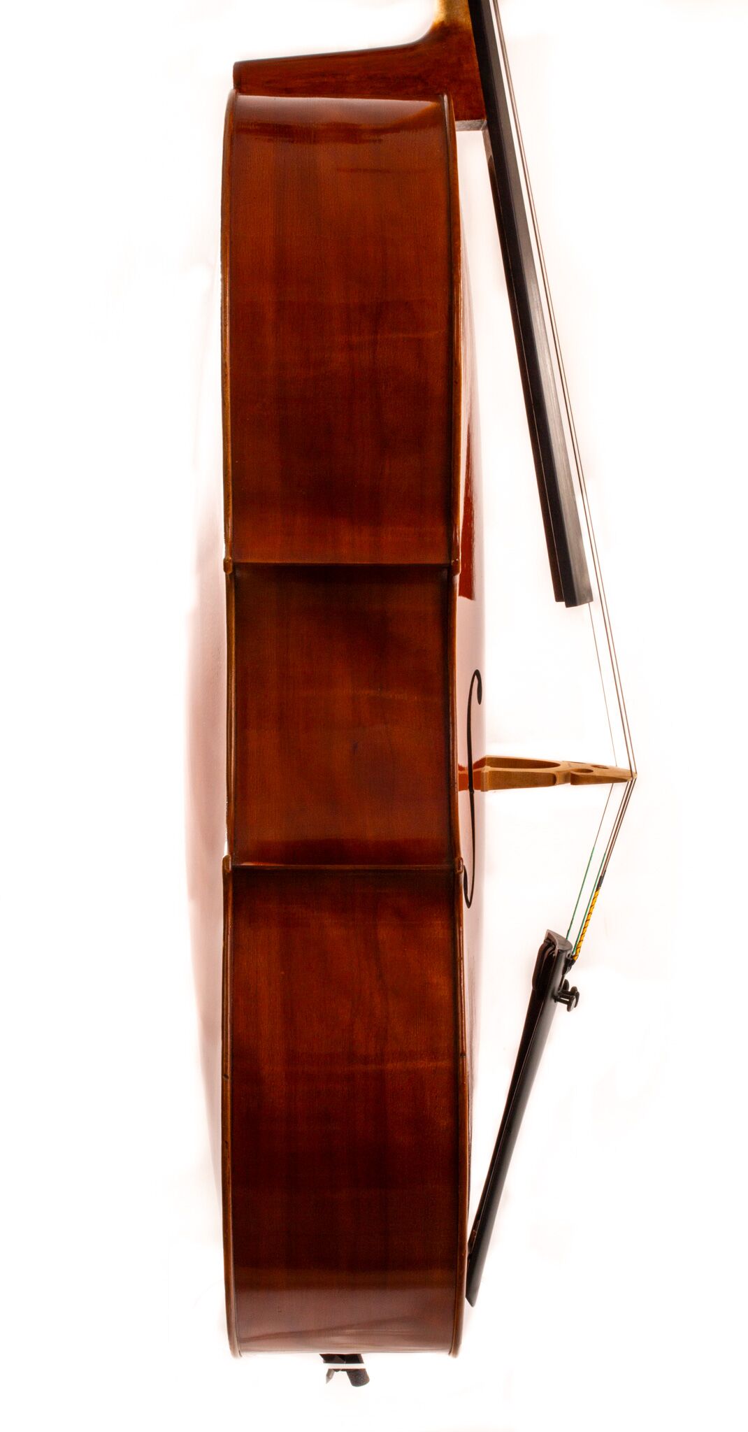 Polstein-White-Cello-2011-7