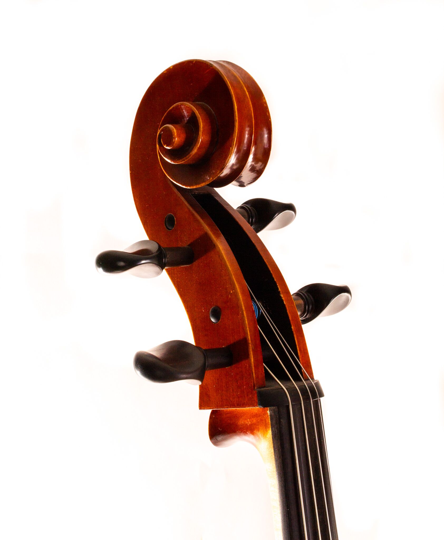 Polstein-White-Cello-2011-8