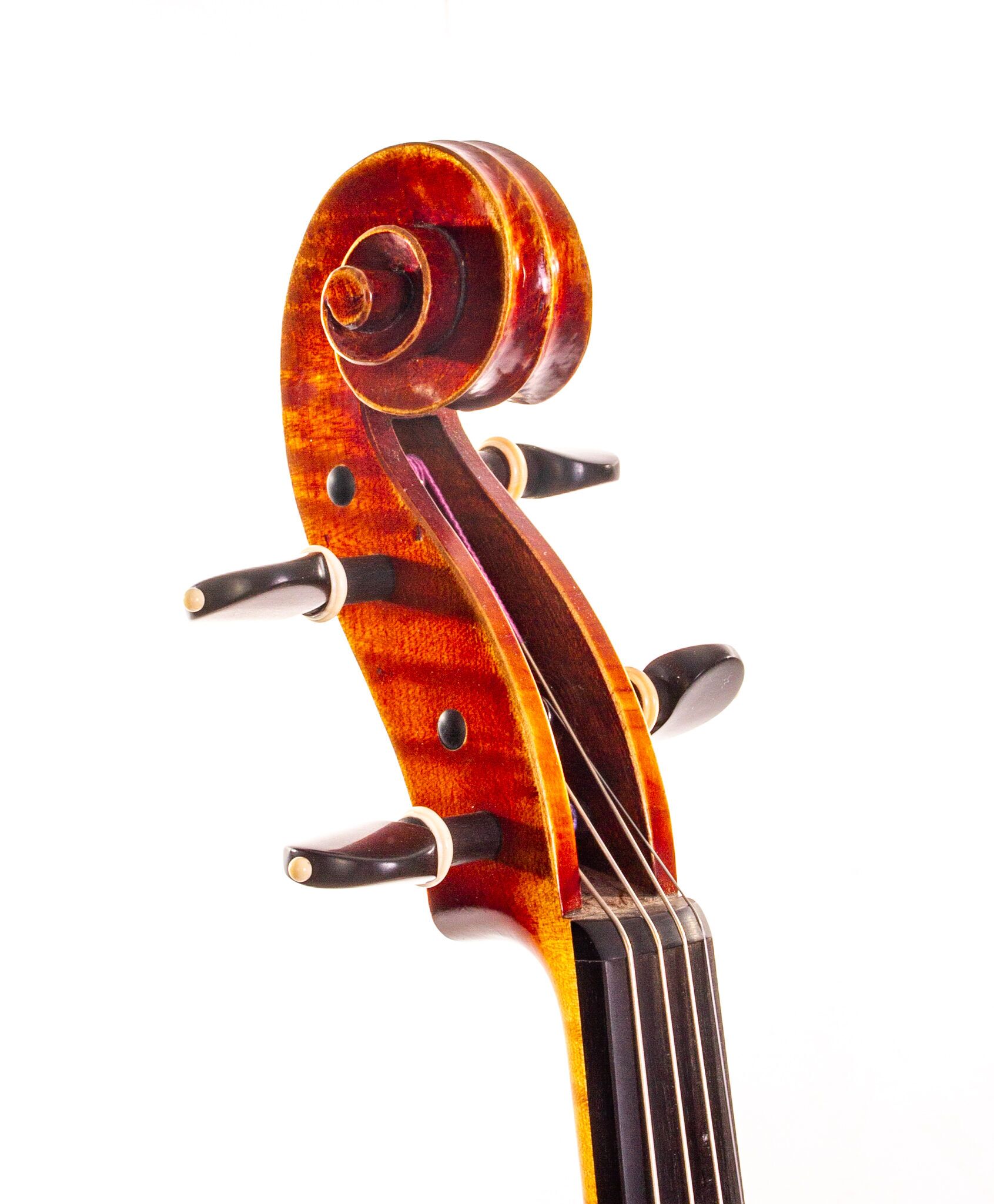 Christopher-White-Viola-2011-10