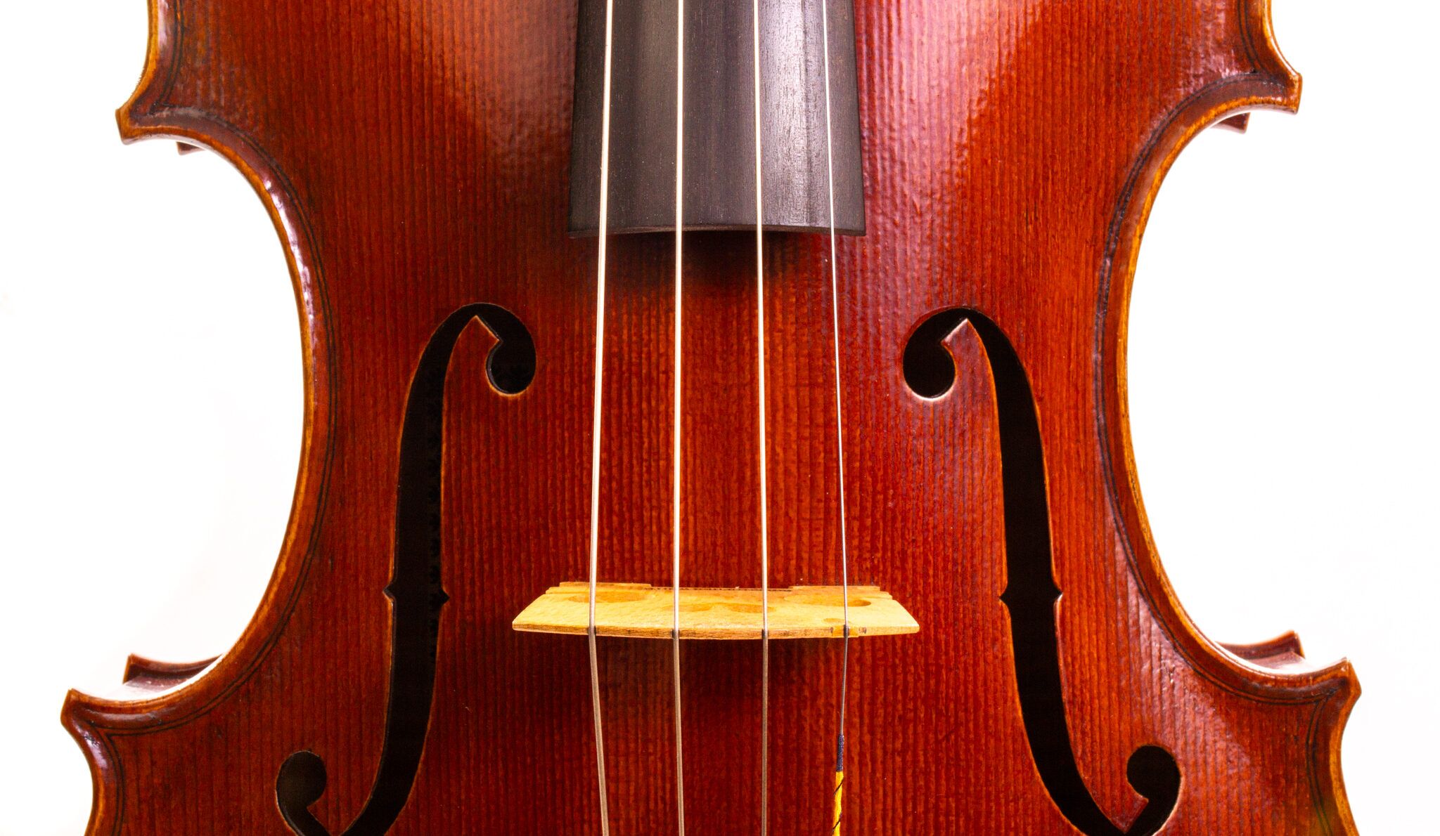 Christopher-White-Viola-2011-14