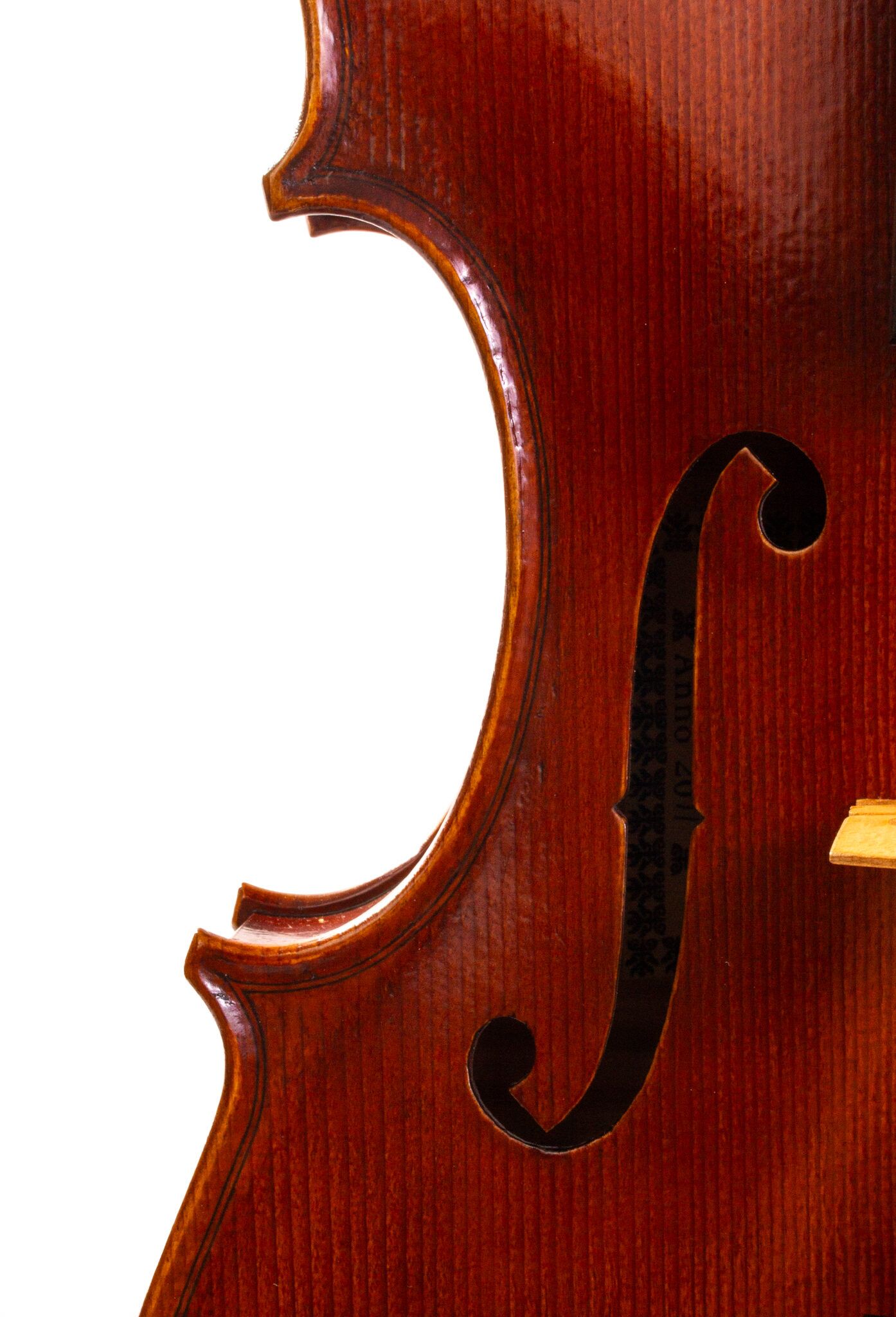 Christopher-White-Viola-2011-2-2