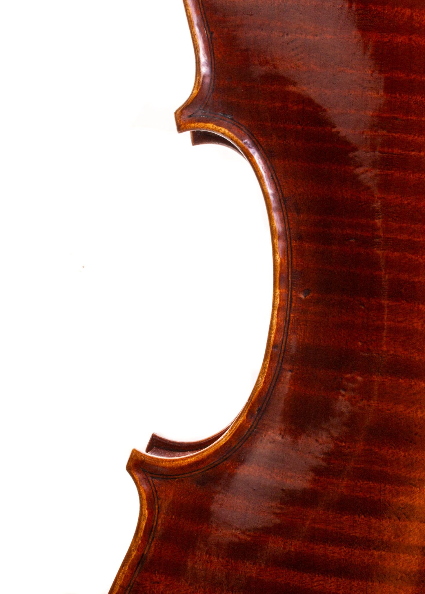 Christopher-White-Viola-2011-21