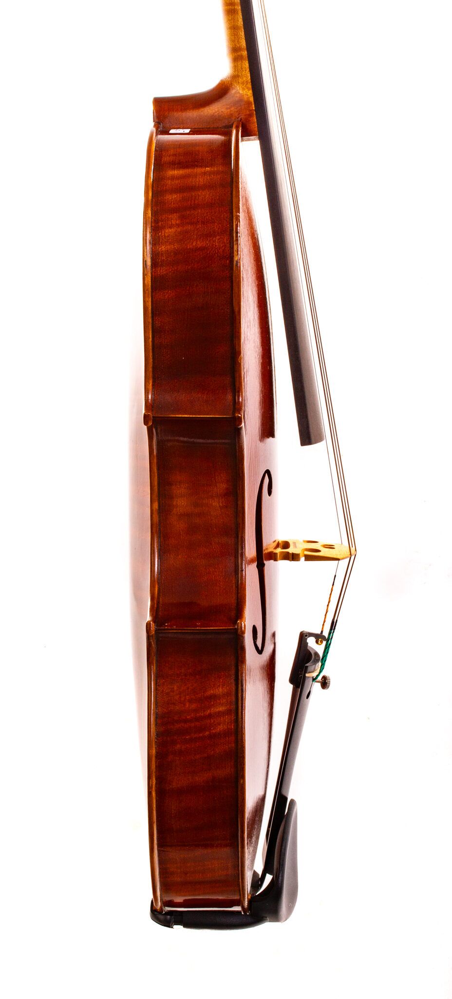 Christopher-White-Viola-2011-3-2