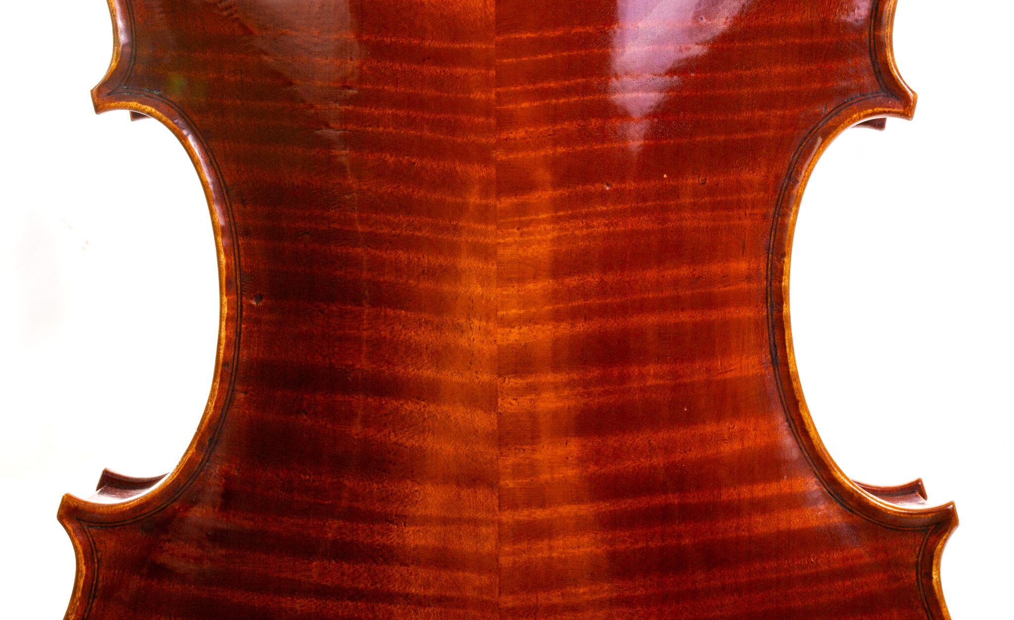 Christopher-White-Viola-2011-4
