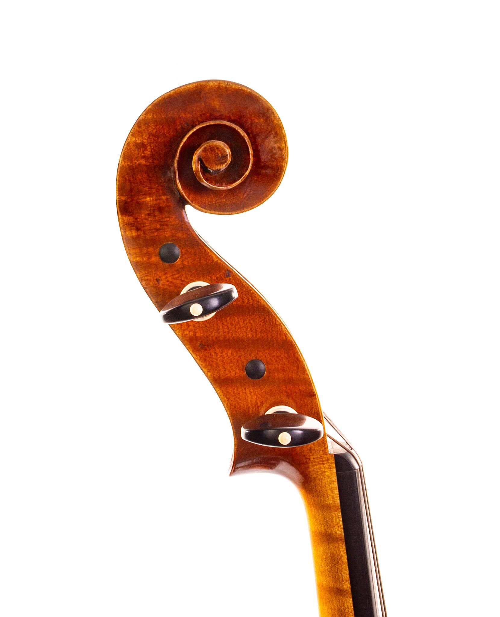Christopher-White-Viola-2011-8