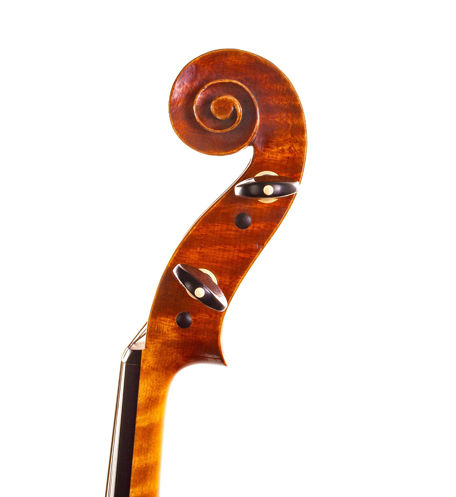 Christopher-White-Viola-2011