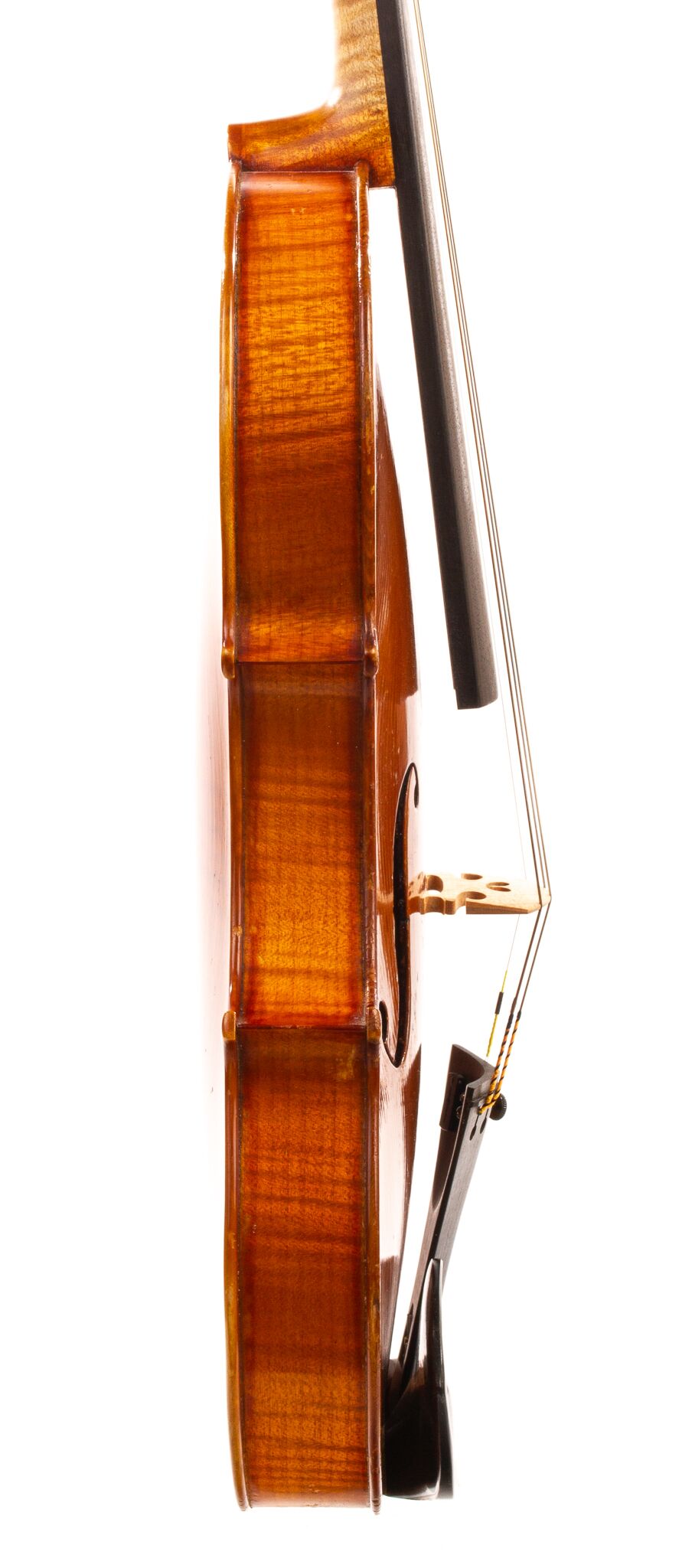 ヴァイオリン　写真集　 Italienische Violinen ヴァイオリン 写真集 Italienische Violinen - メルカリ