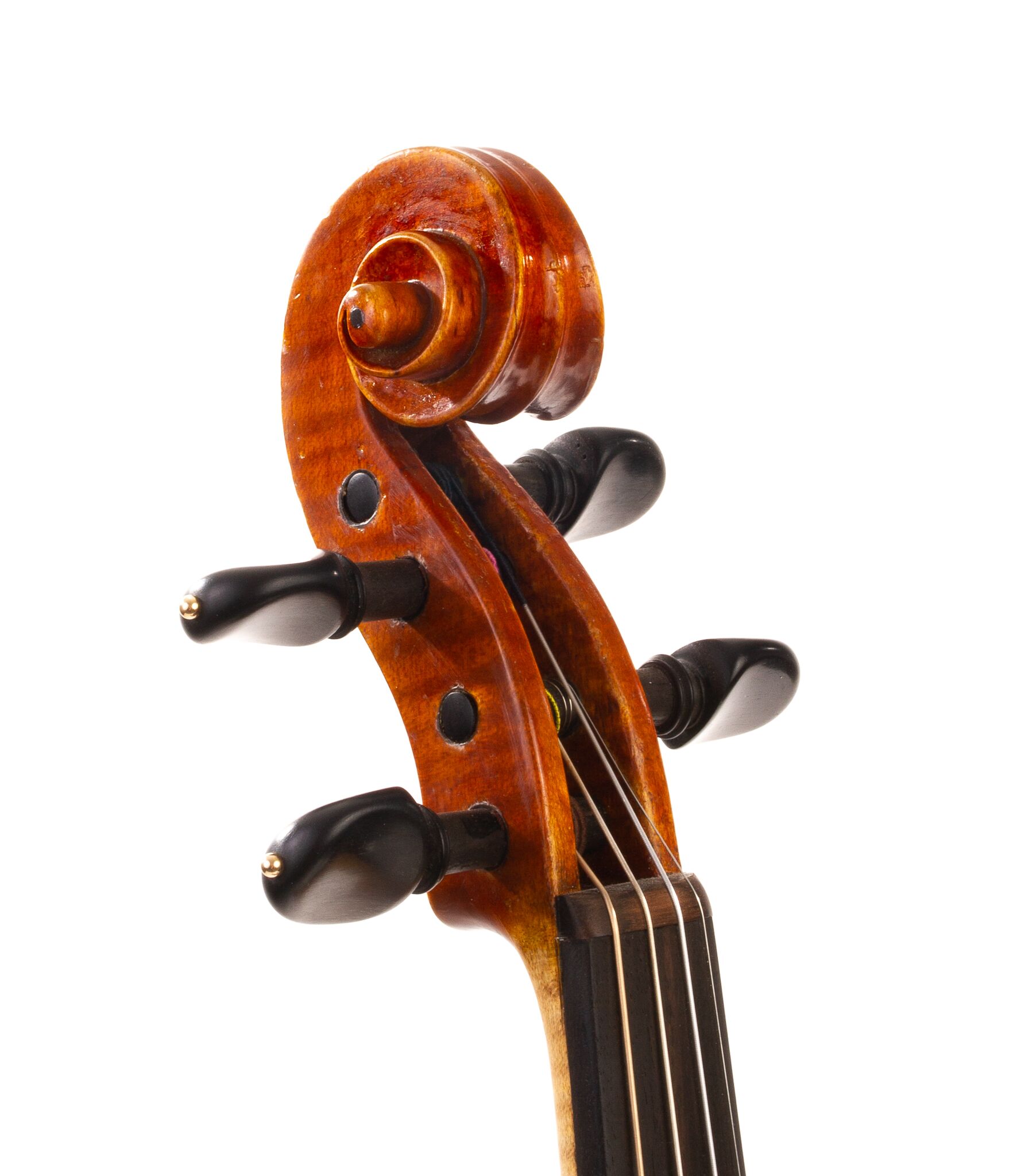 ヴァイオリン　写真集　 Italienische Violinen Very fine Italian violin by Evasio Emilio Guerra, 1951