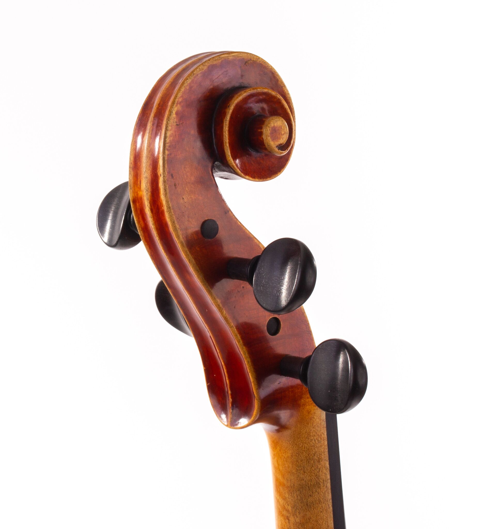 polstein-white-viola-16-1-4-2013-05