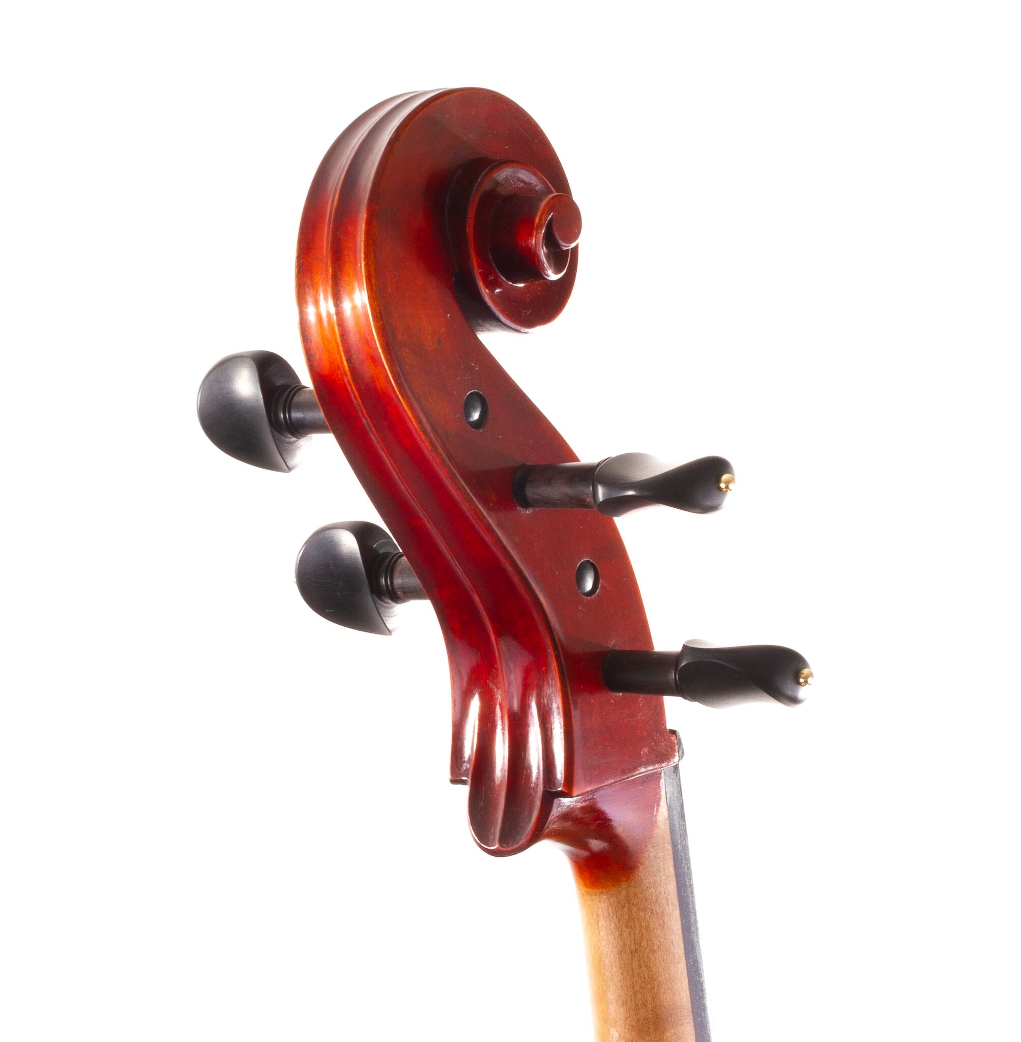 jean-pierre-lupot-cello-eastman-501-05