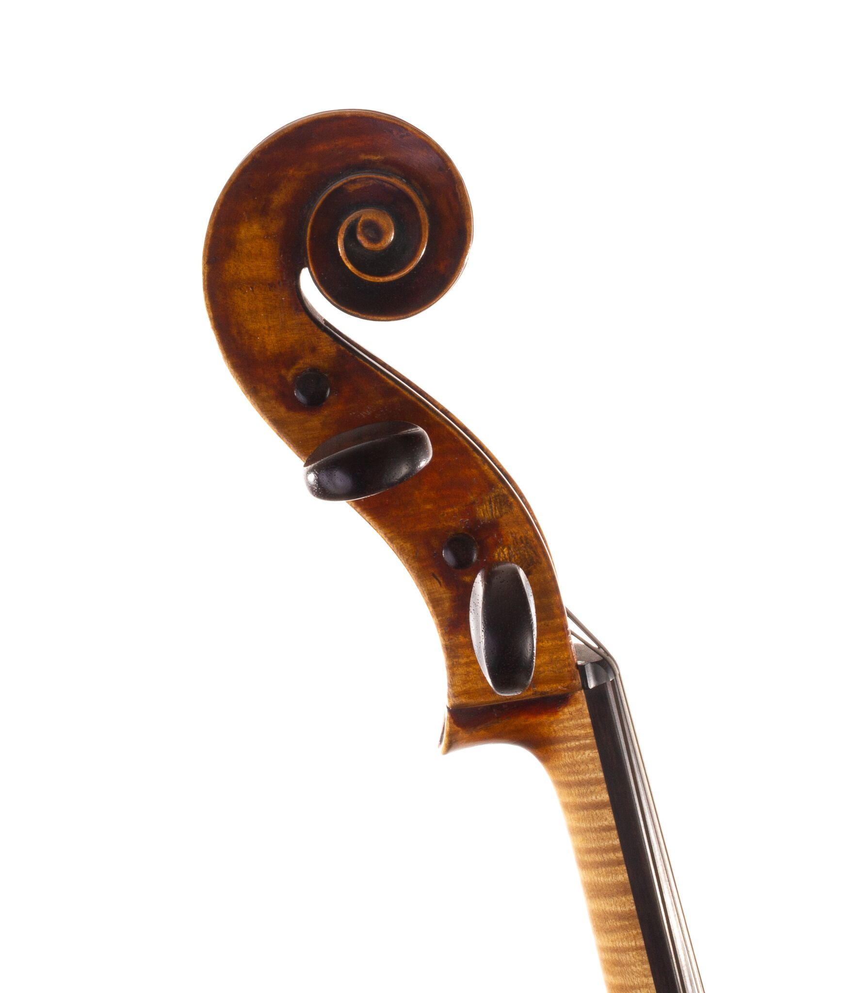 Mougenot-Cello-15