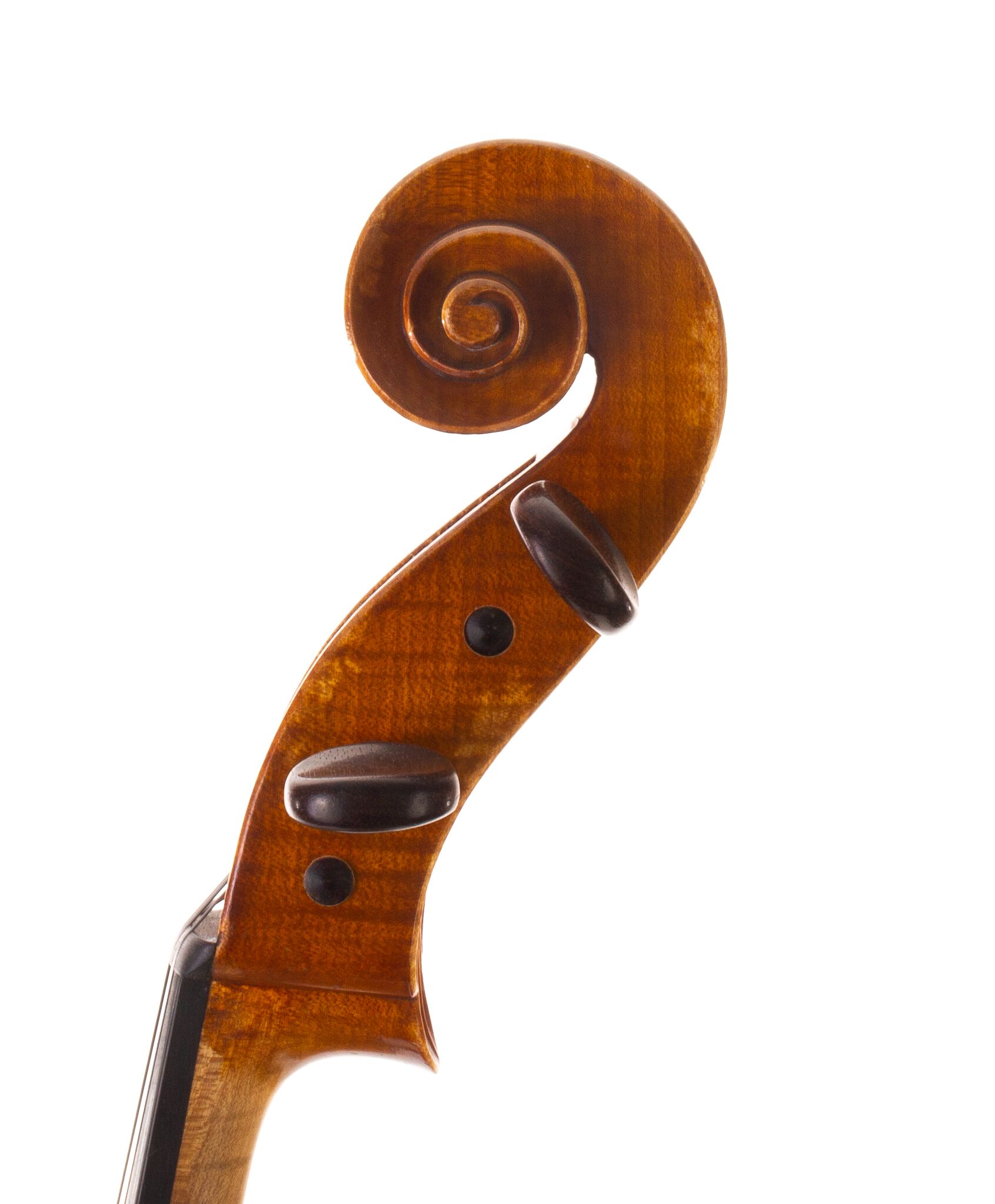 Collin-Mézin-Cello-Labeled-Giacomelli-1931-05