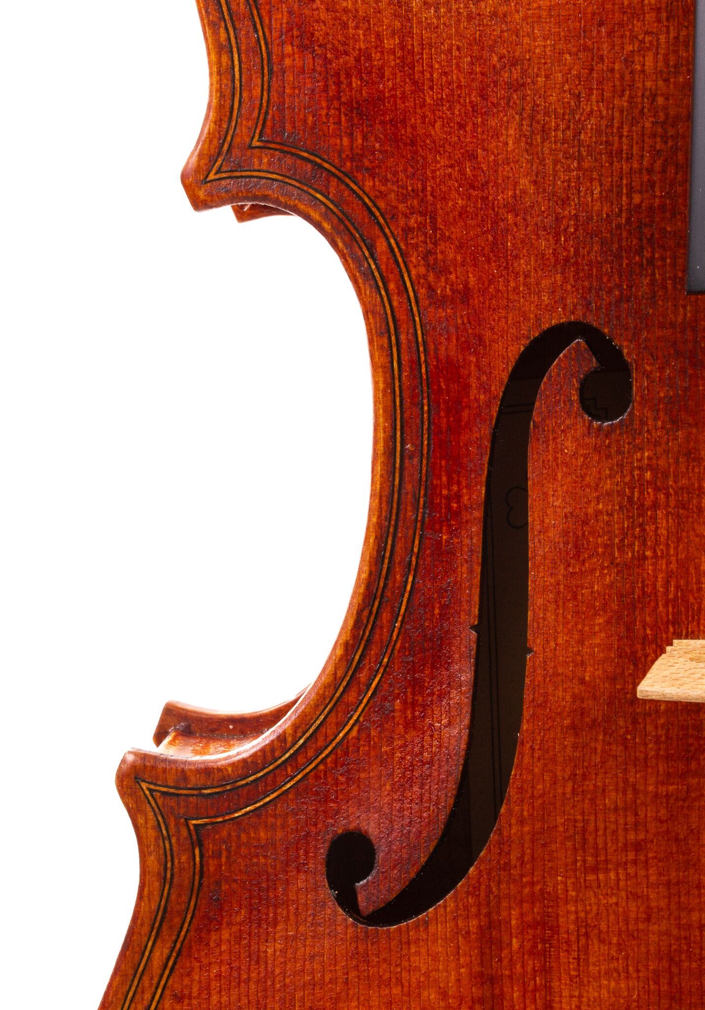 Julia-Felix-Viola-2023-13