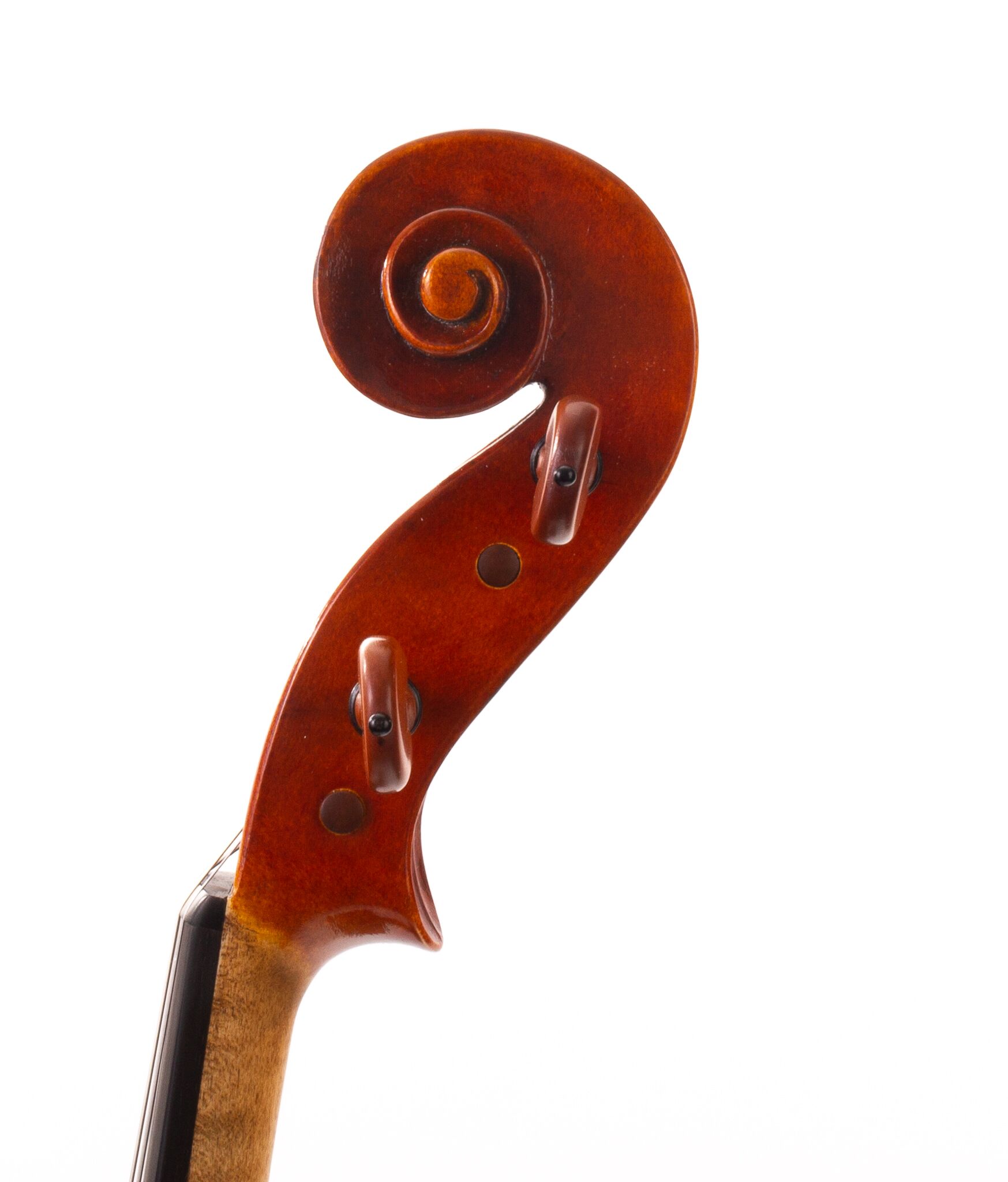 Larry-Bowers-Viola-2021-01