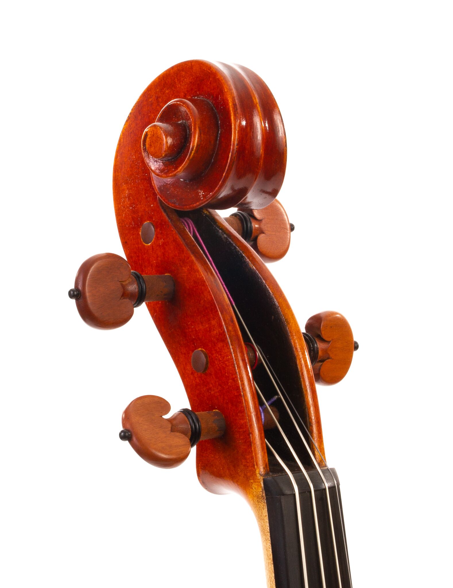 Larry-Bowers-Viola-2021-10