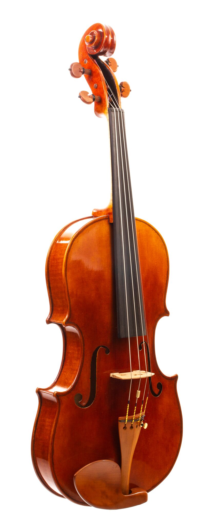Larry-Bowers-Viola-2021-11