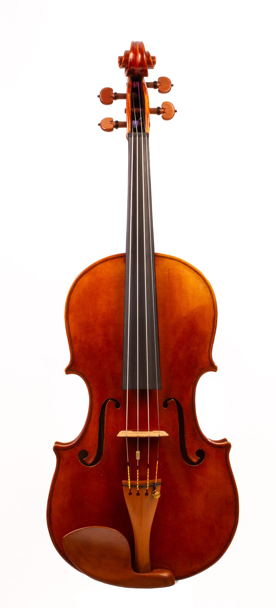 Larry-Bowers-Viola-2021-15