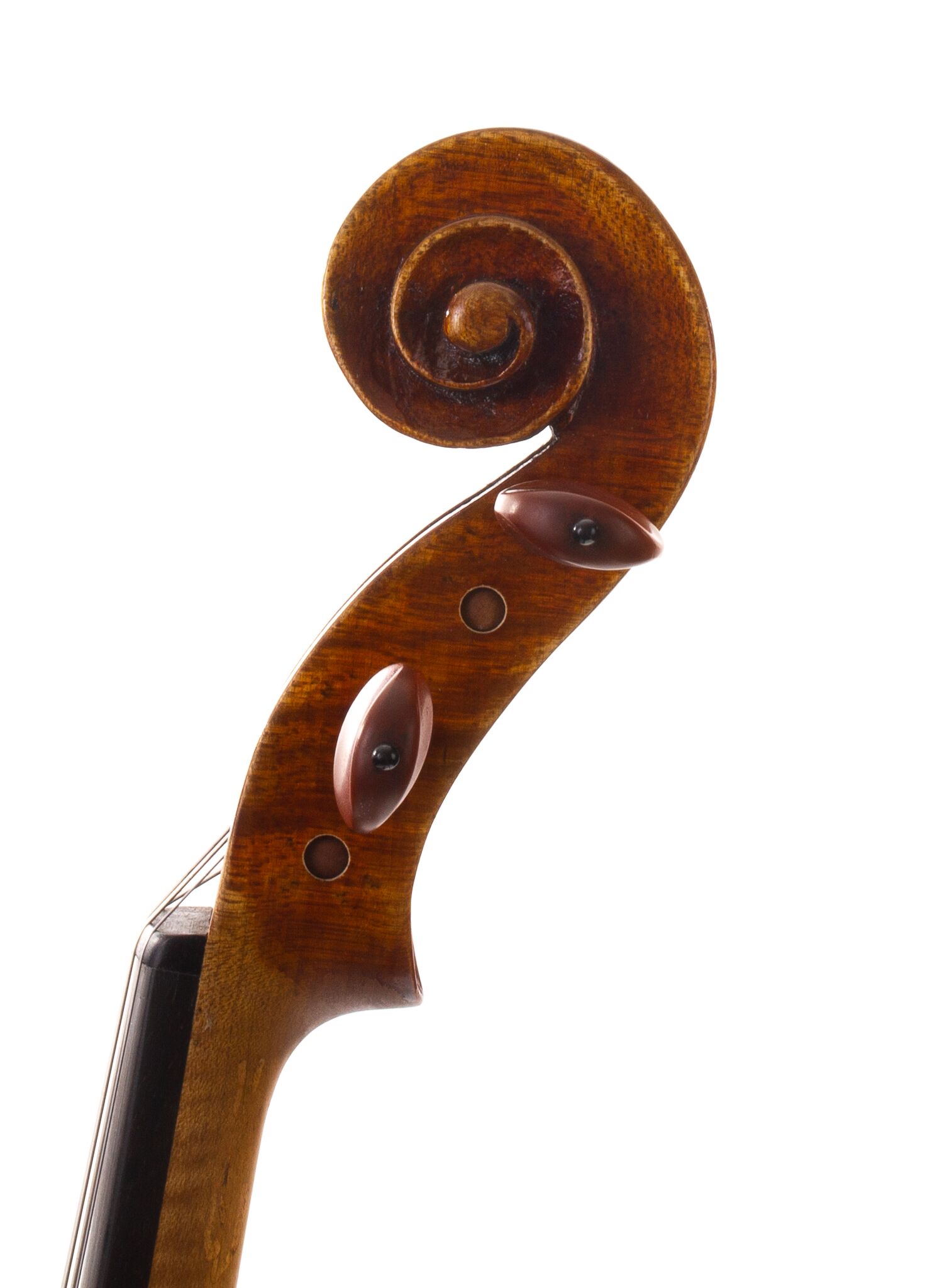 Douglas-Cox-Viola-2022-01