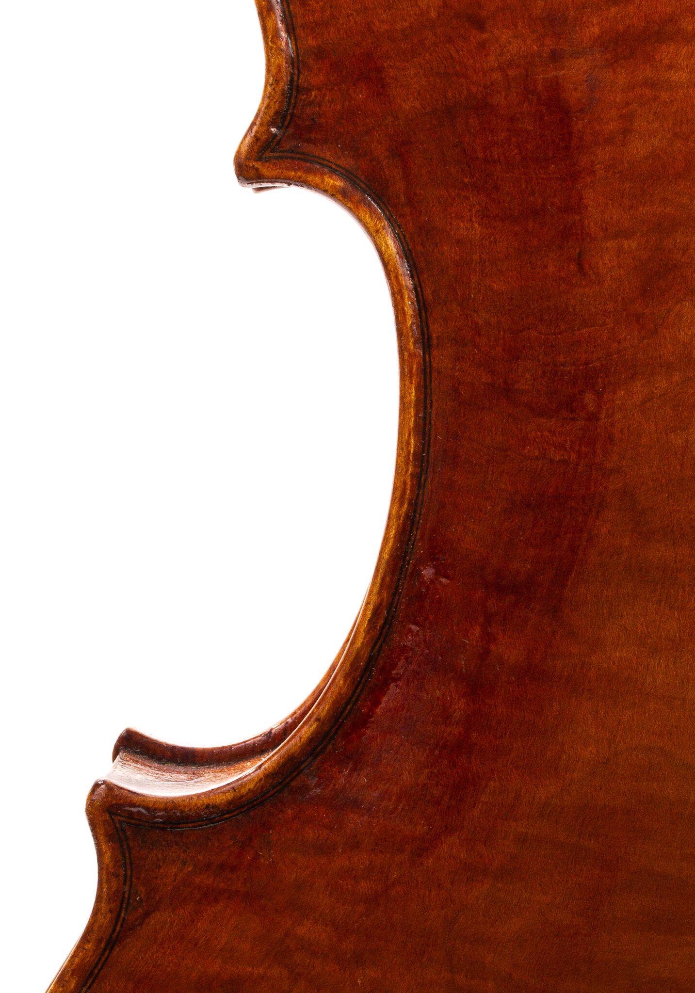 Douglas-Cox-Viola-2022-03