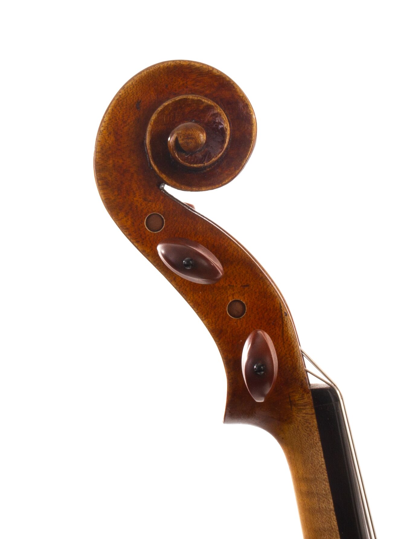 Douglas-Cox-Viola-2022-08