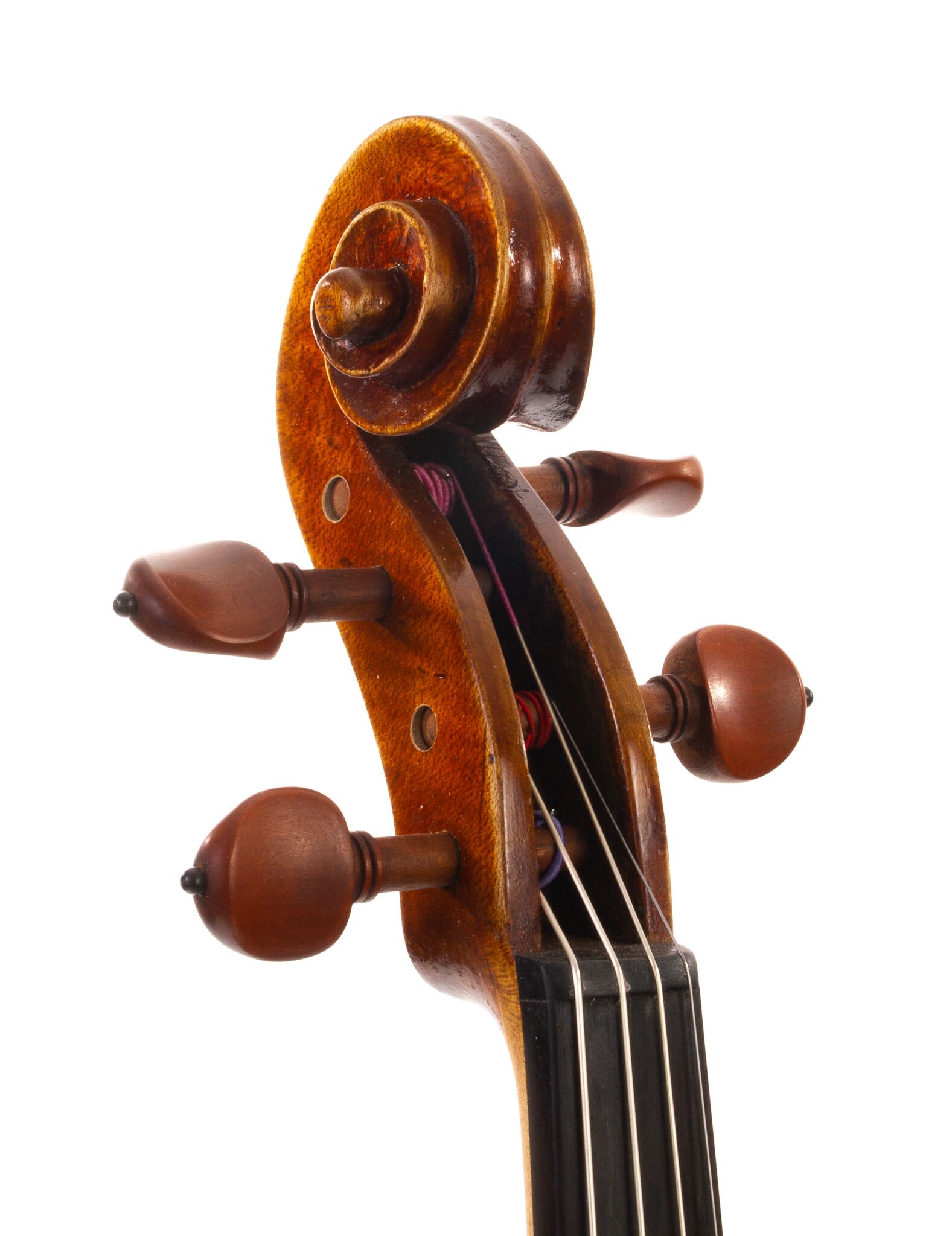 Douglas-Cox-Viola-2022-10