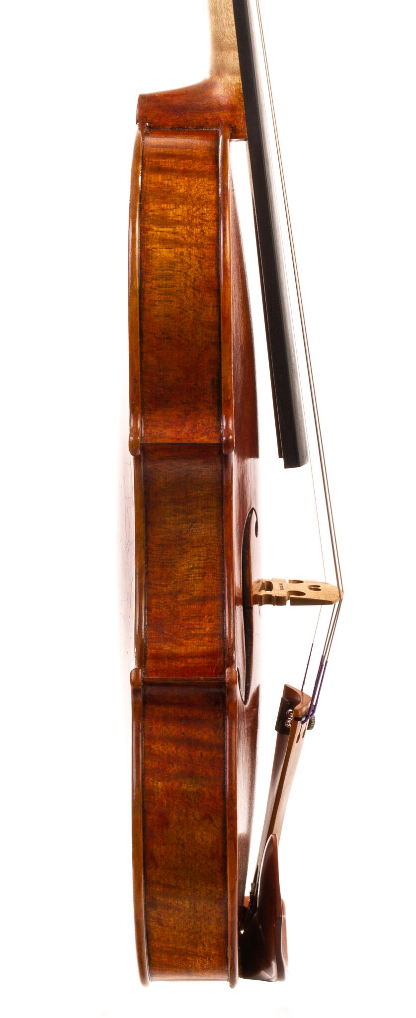 David-Yorgason-Violin-2023-09