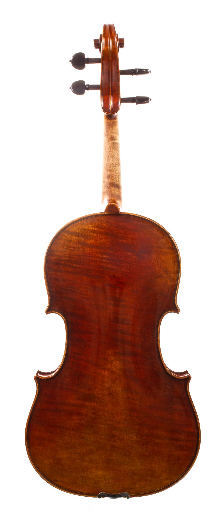 Dolce-Genovese-Viola-05