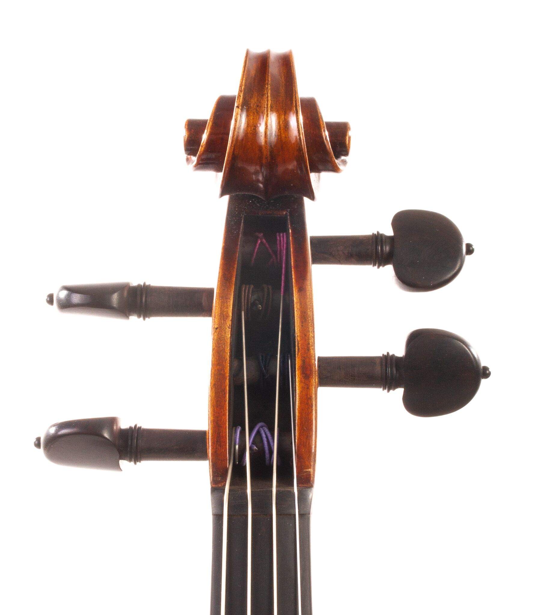 Dolce-Genovese-Viola-12