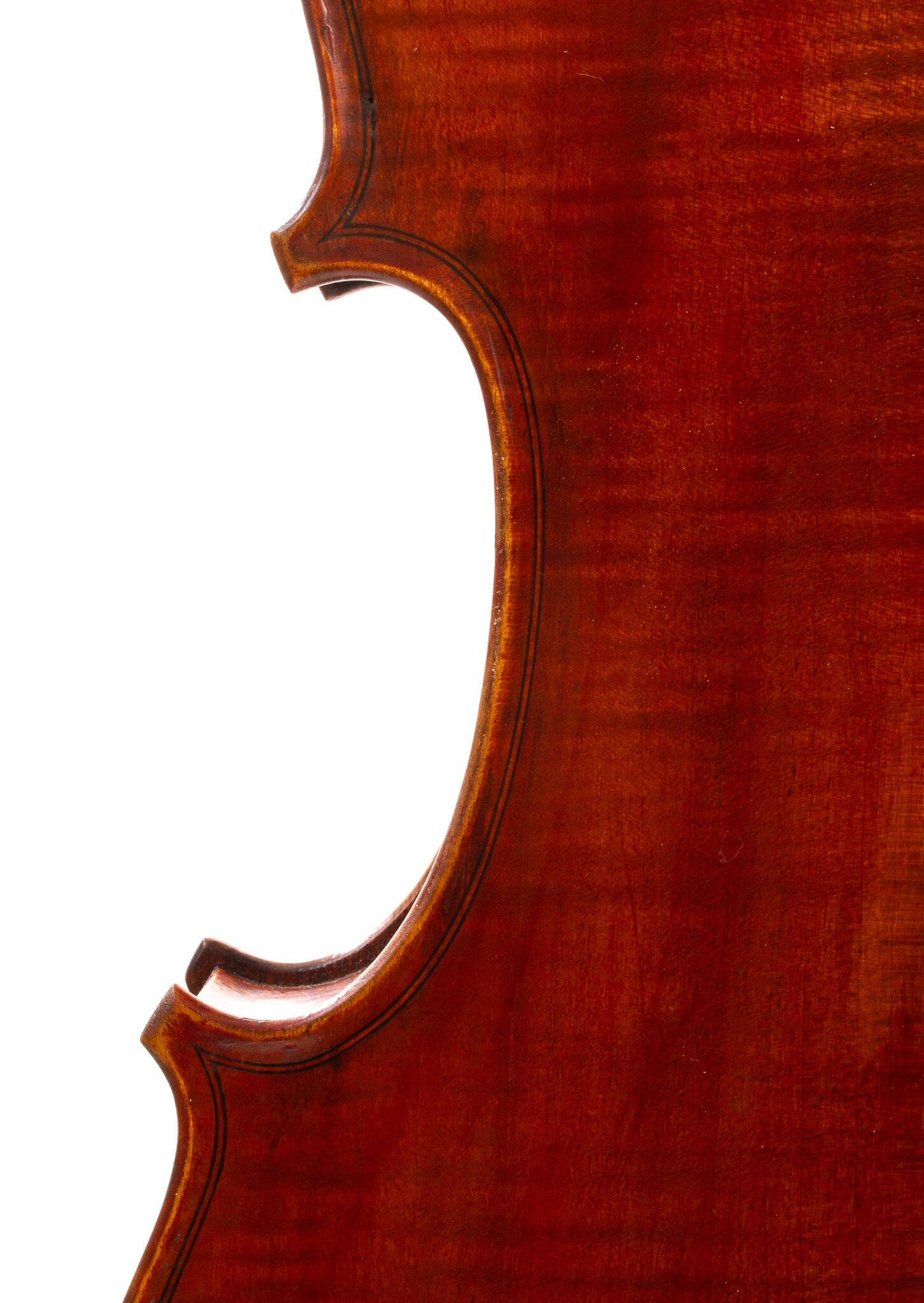 Viola-labeled-Nicolas-Bertholini-03