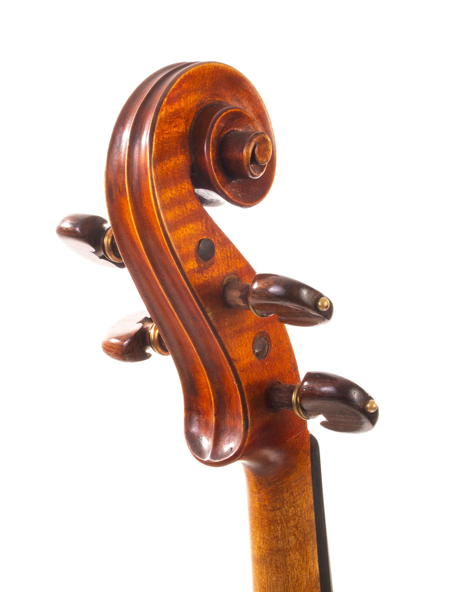 Viola-labeled-Nicolas-Bertholini-06