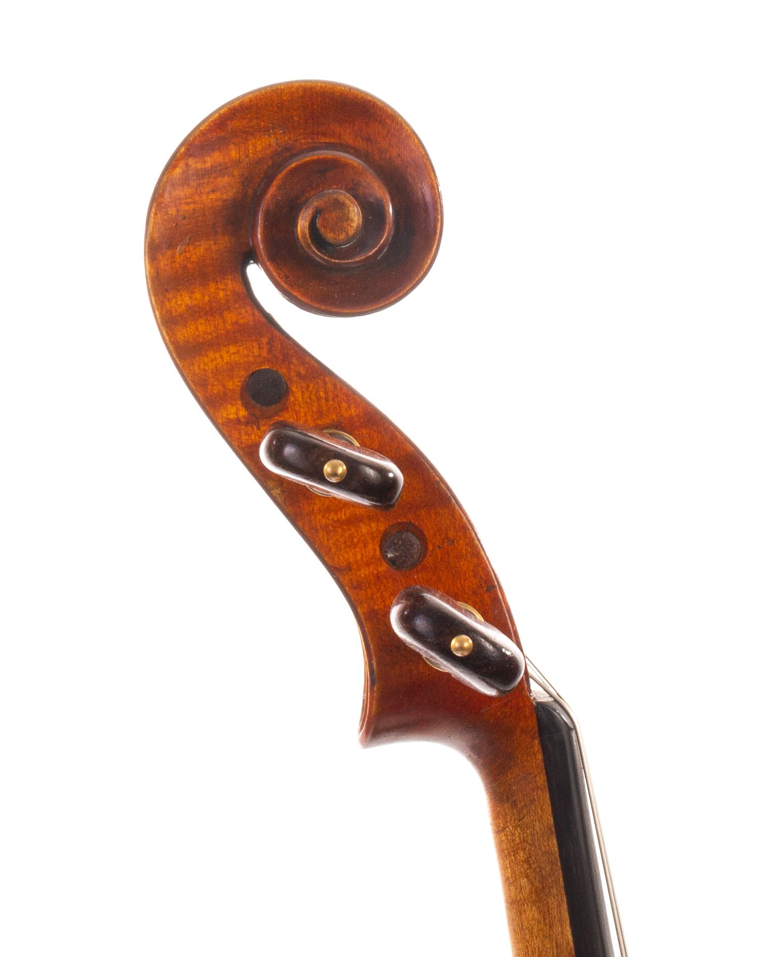 Viola-labeled-Nicolas-Bertholini-08
