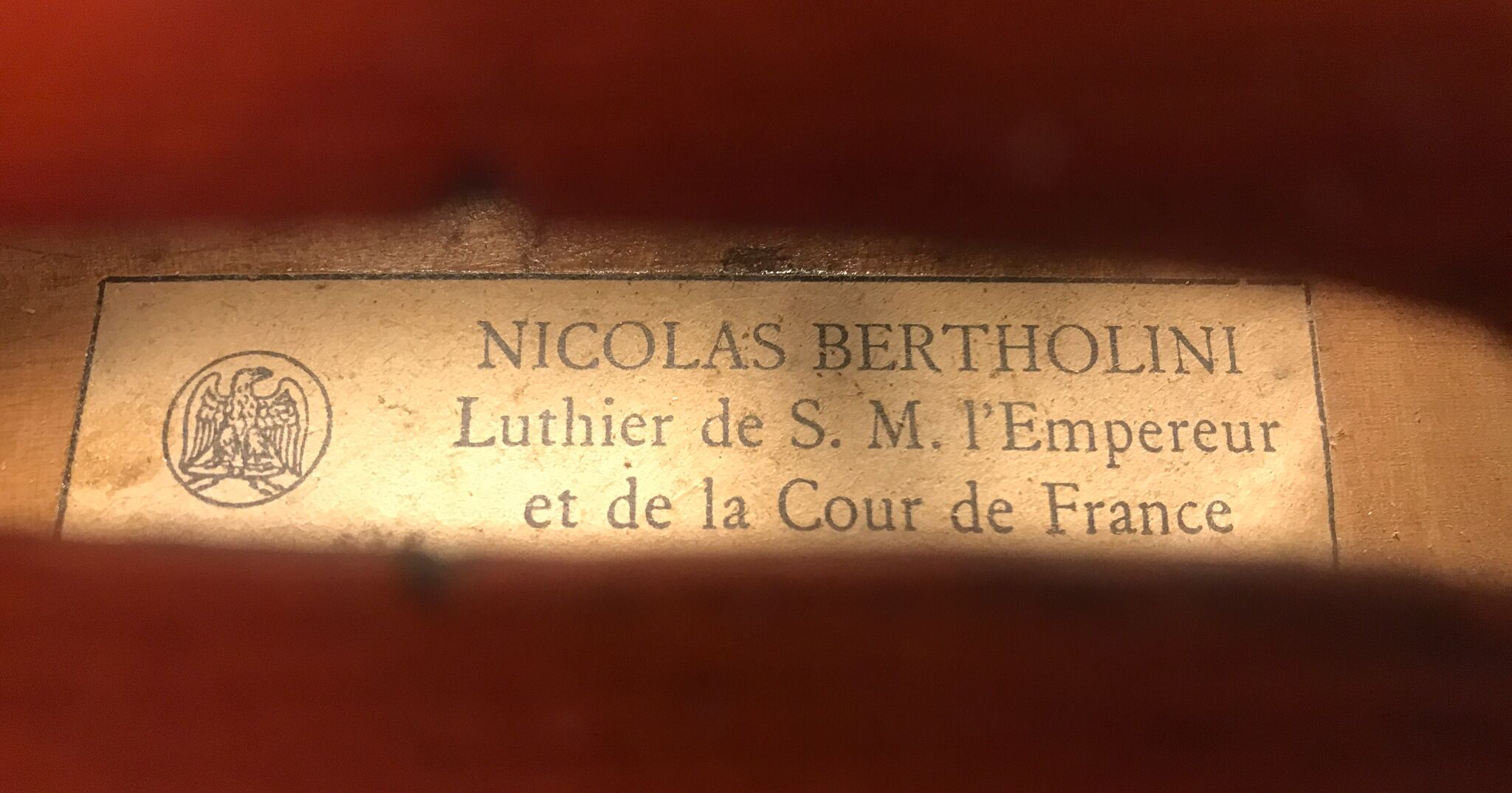 Viola-labeled-Nicolas-Bertholini-16