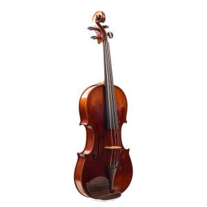 A German Violin c. 1910 | Dolce Violins