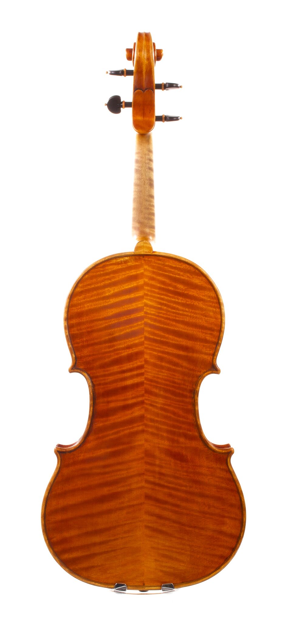 Alessandro Ciciliati Viola 2008-14
