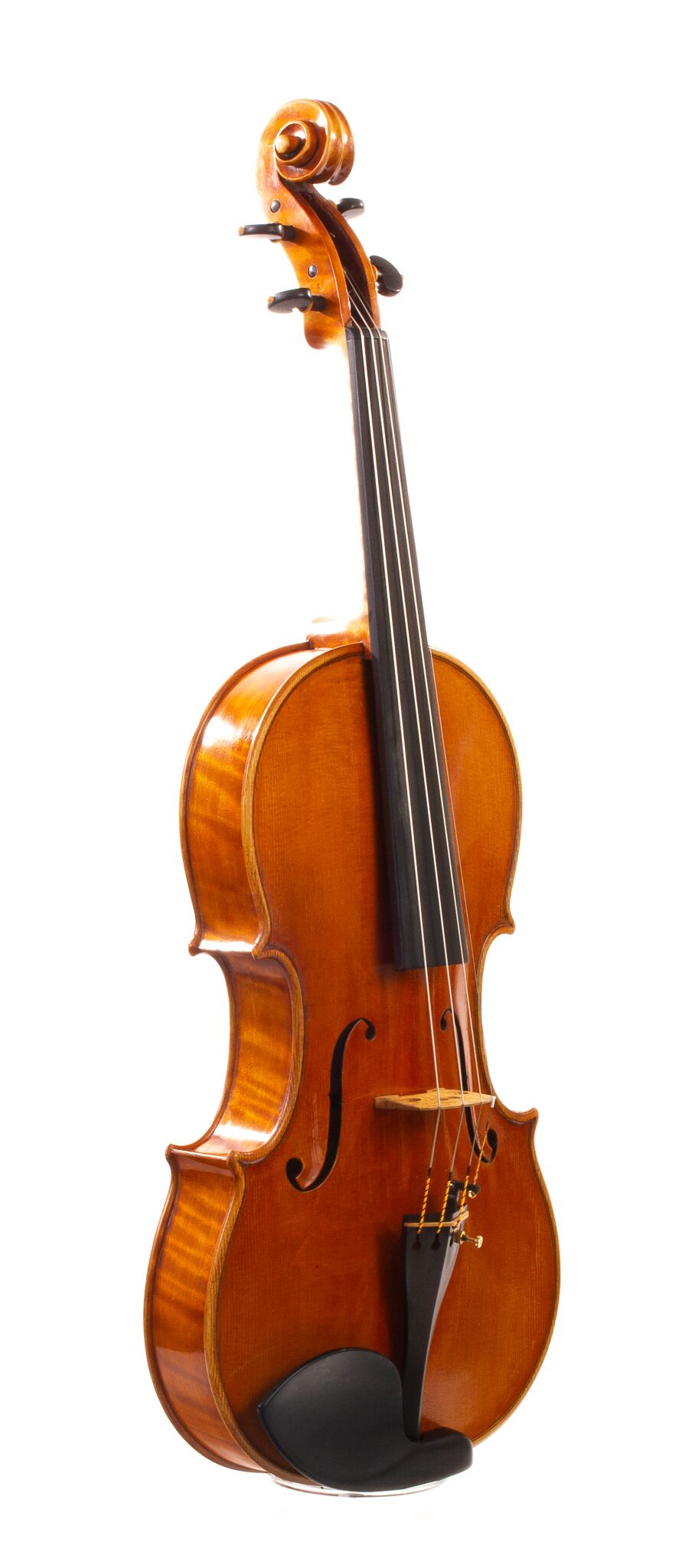 Alessandro Ciciliati Viola 2008-15