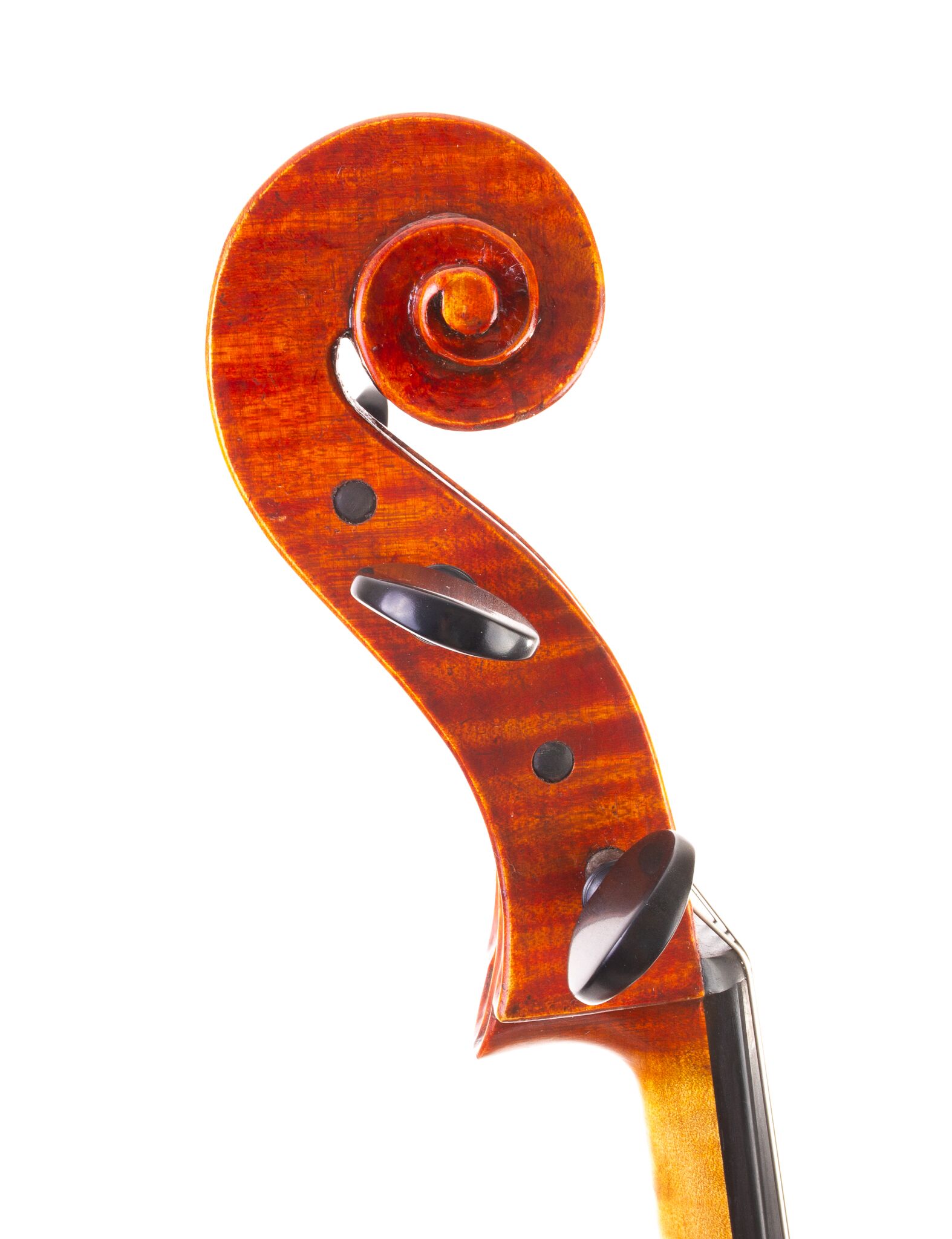Kurt Jones Cello 2024 Forester Model-06