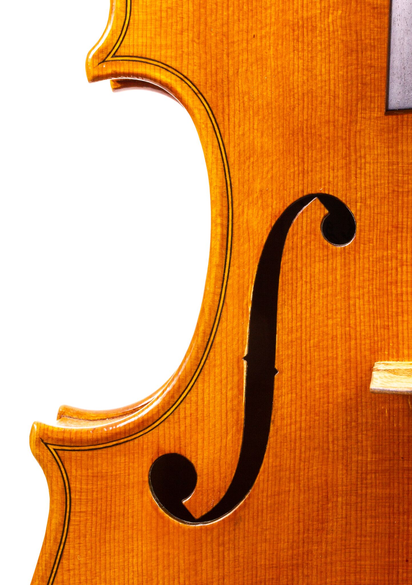 Raymond Palmer 2008 Viola-13