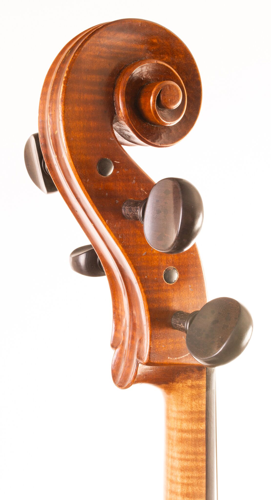Andrzej Glodek Cello - Nowy Targ 2024-08