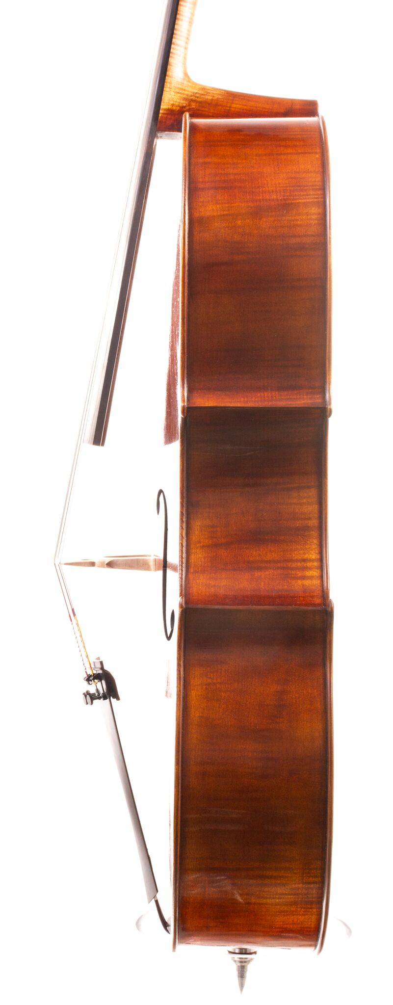 Andrzej Glodek Cello - Nowy Targ 2024-1