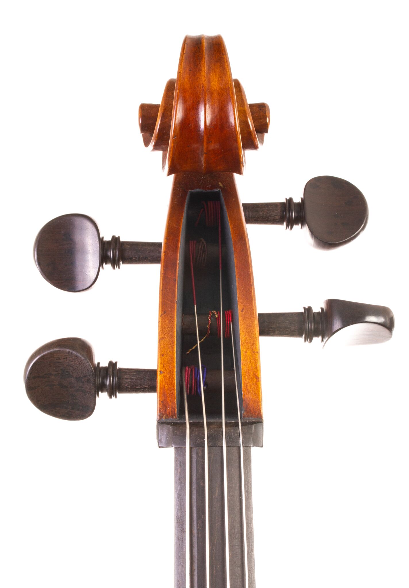 Andrzej Glodek Cello - Nowy Targ 2024-11