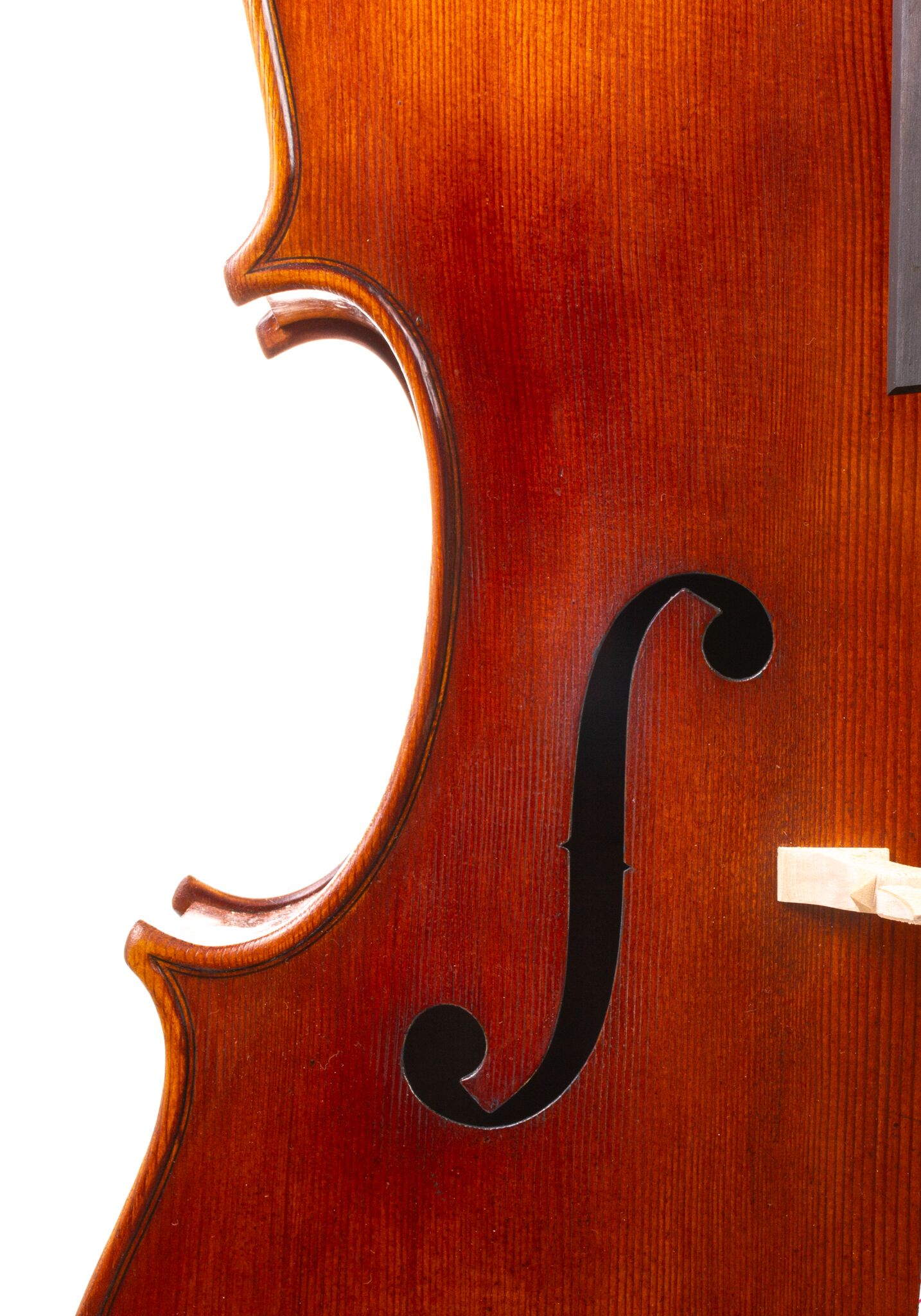 Andrzej Glodek Cello - Nowy Targ 2024-12