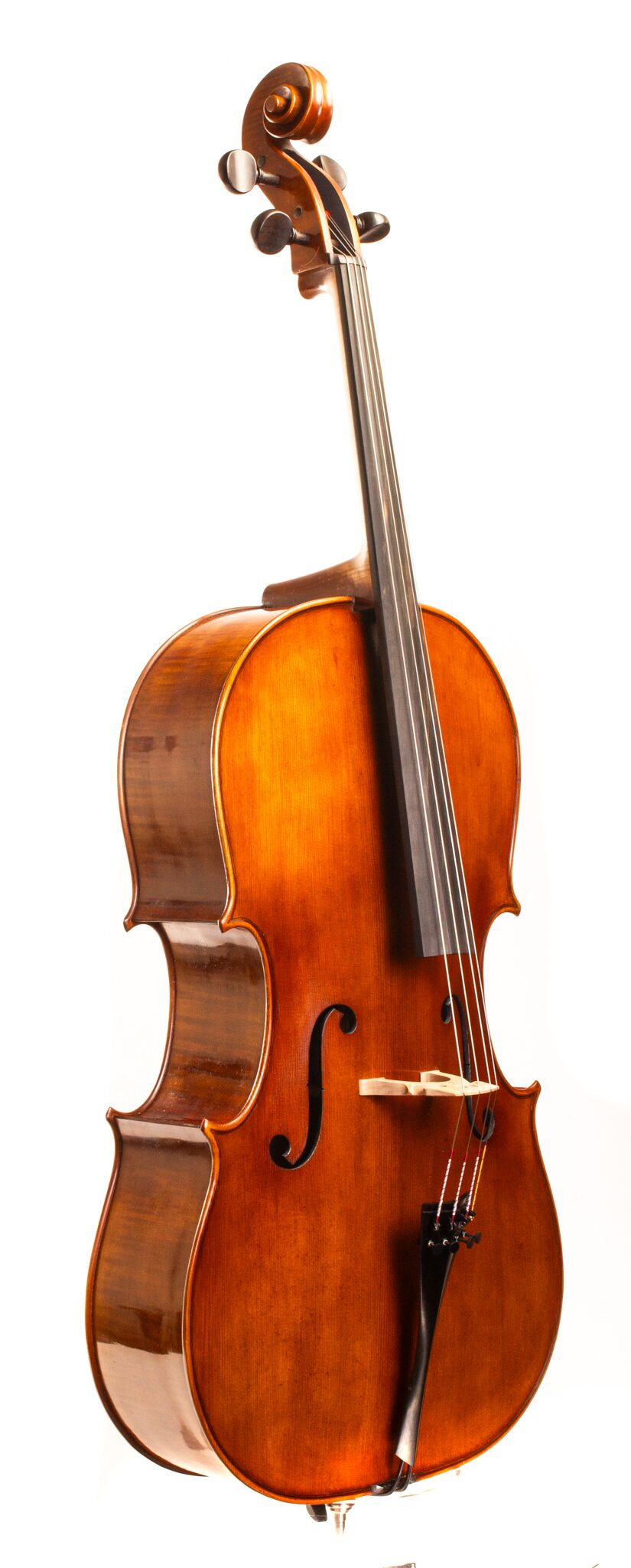 Andrzej Glodek Cello - Nowy Targ 2024 A