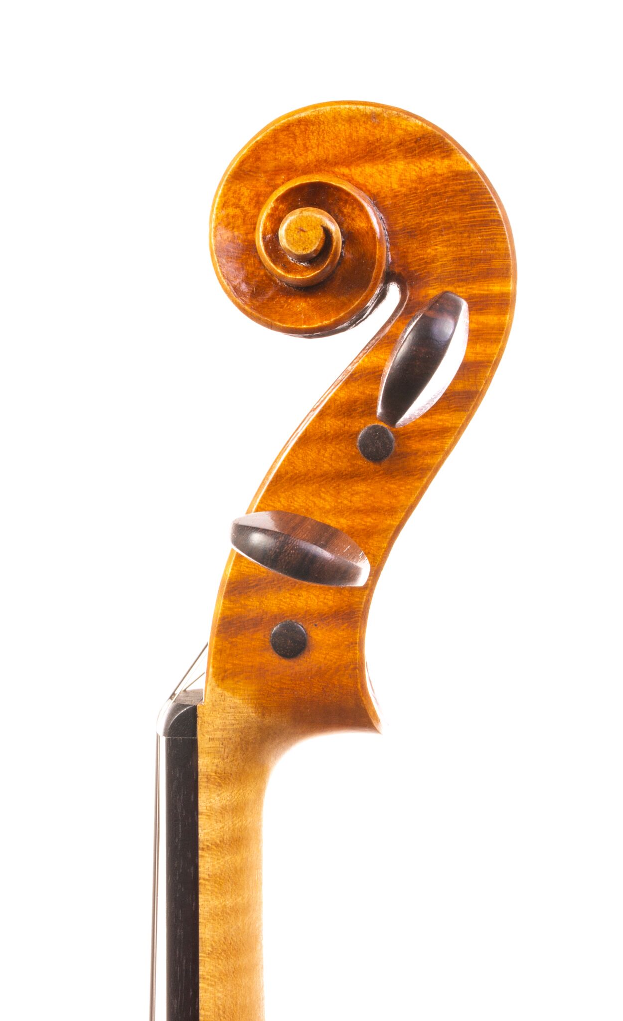 Sam Billings Violin – 2020 1-10