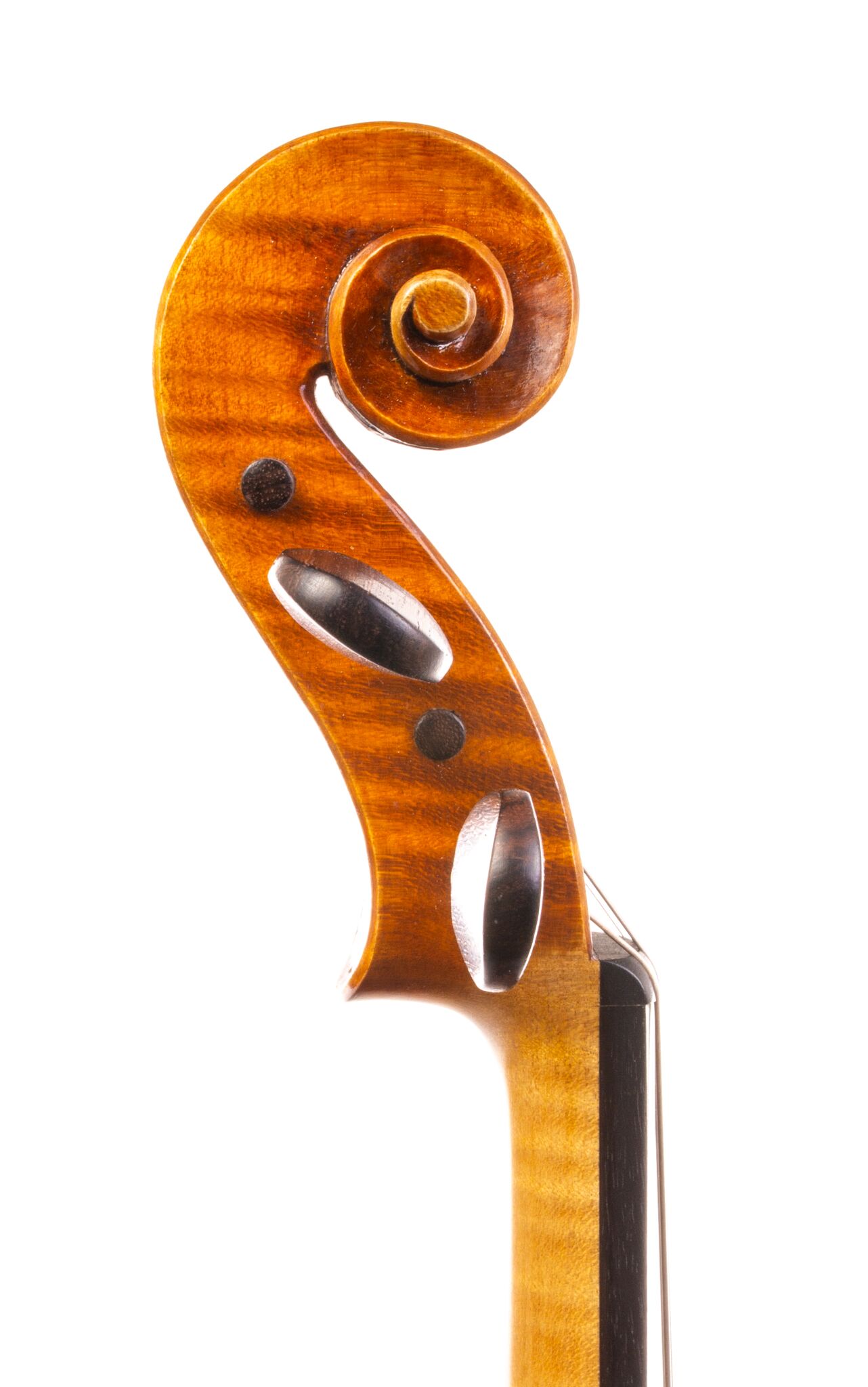 Sam Billings Violin – 2020 1-12