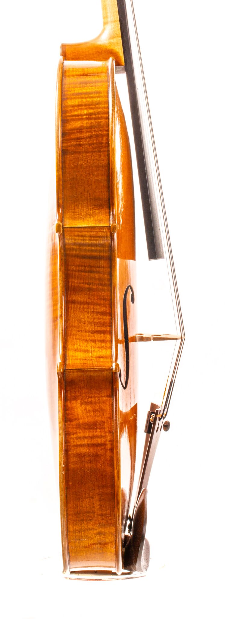 Sam Billings Violin – 2020 1-21
