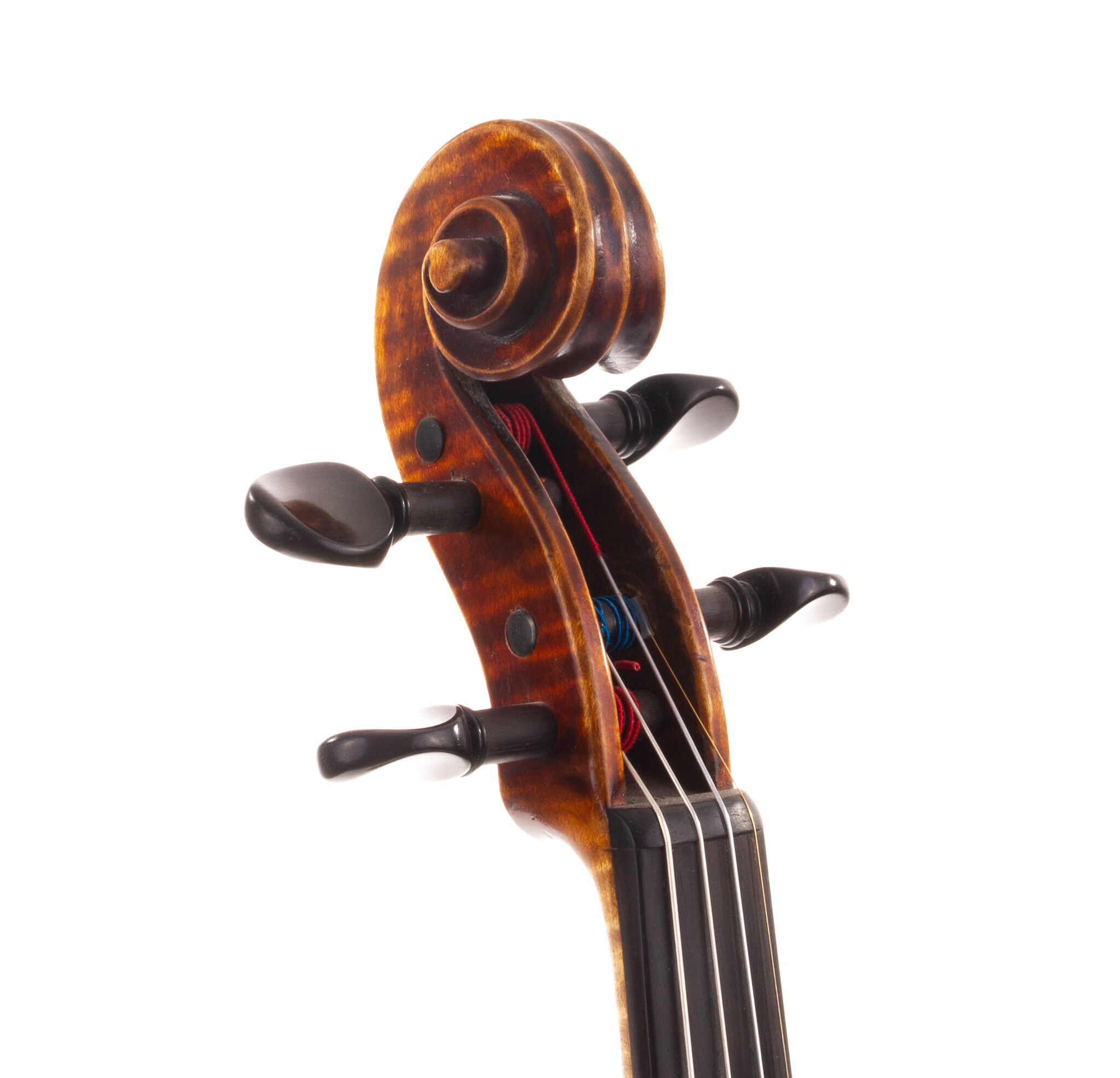 Charles Enel Violin - Paris 1925 | Dolce Violins