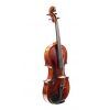 Charles Enel Violin - Paris 1925 | Dolce Violins