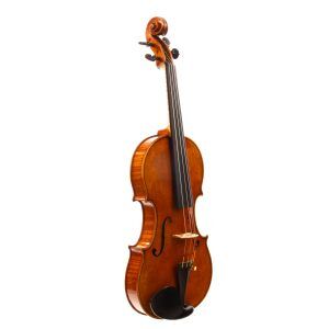 Leopold Widhalm Violin 1765 | Dolce Violins