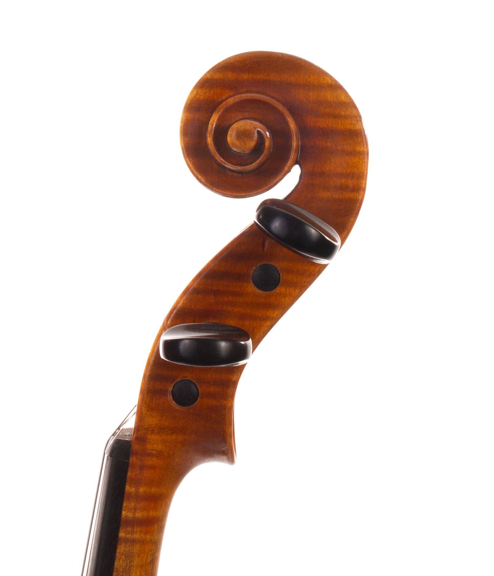 Bruno Franz Paulus Violin - Mittenwald | Dolce Violins Bruno Franz Paulus Violin - Mittenwald | Dolce Violins